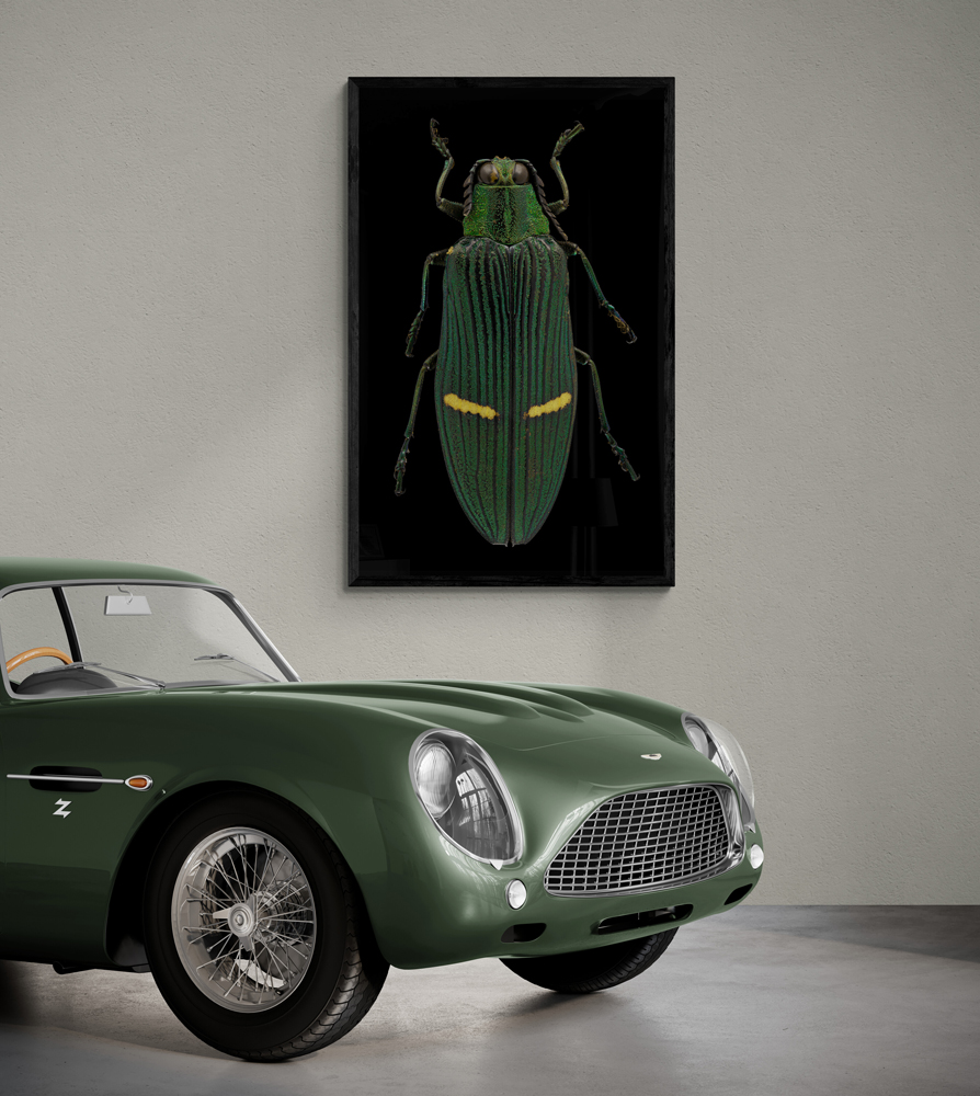 classic-car-in-showroom 1000px