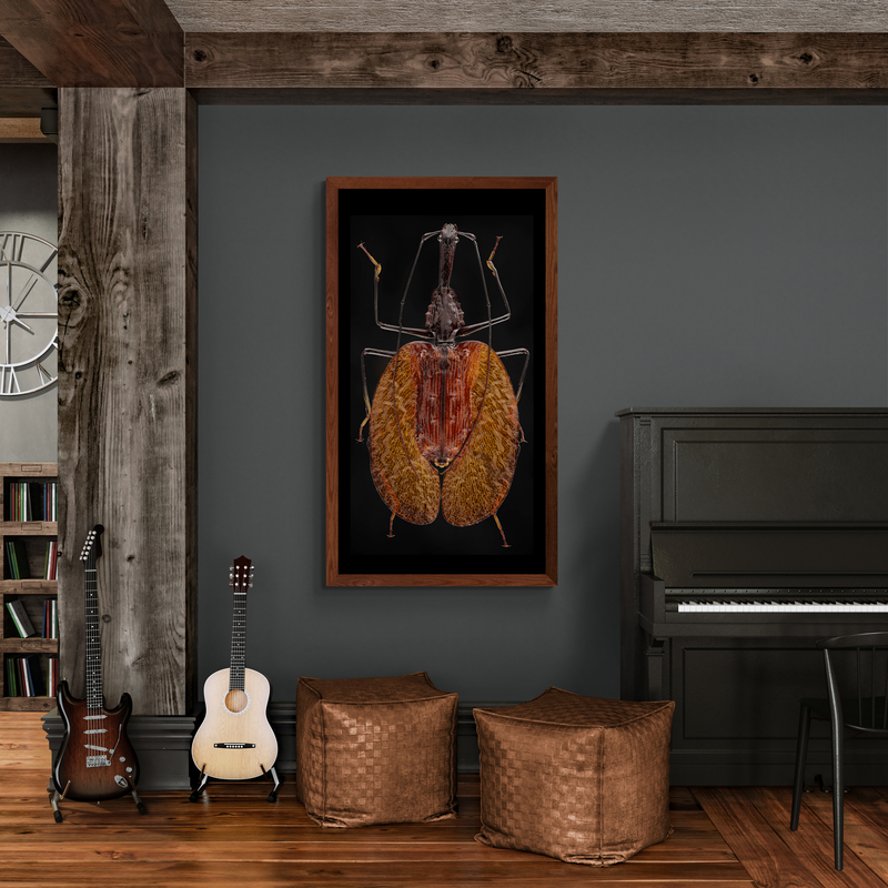 music-room-with-piano-and-guitars